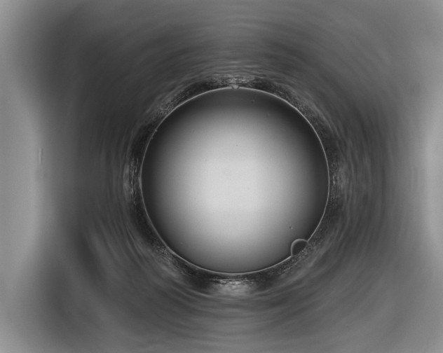 X0000116590218200912171600