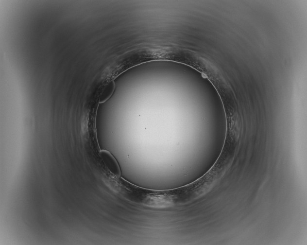 X0000116590221200912171600