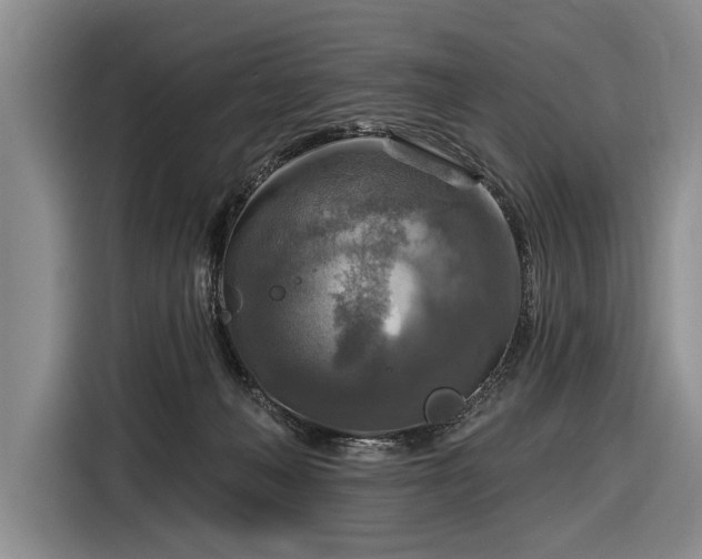 X0000116590222200912171600