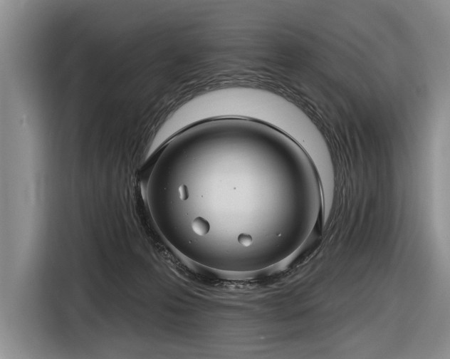 X0000116590223200912171600