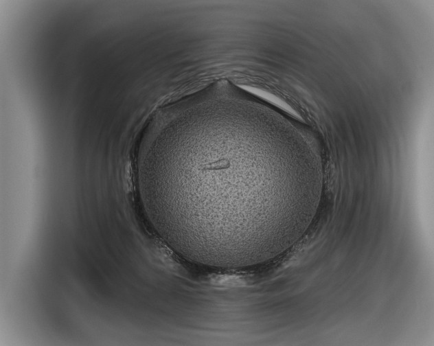 X0000116590224200912171600