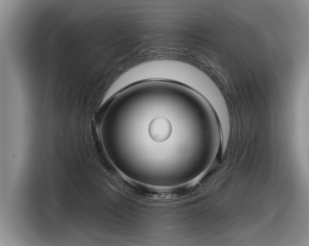 X0000116590225200912171600