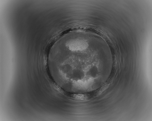 X0000116590230200912171559