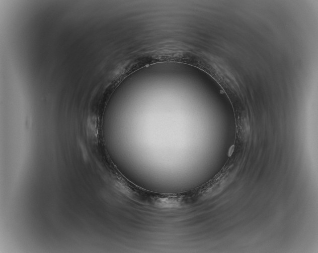 X0000116590232200912171559