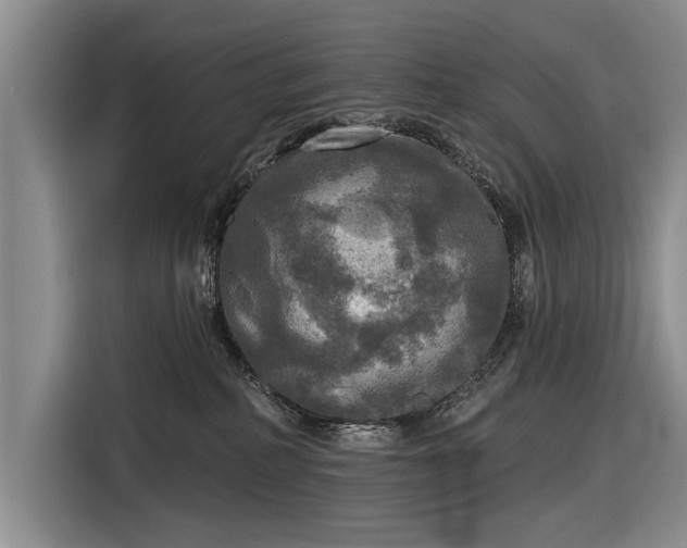 X0000116590234200912171559