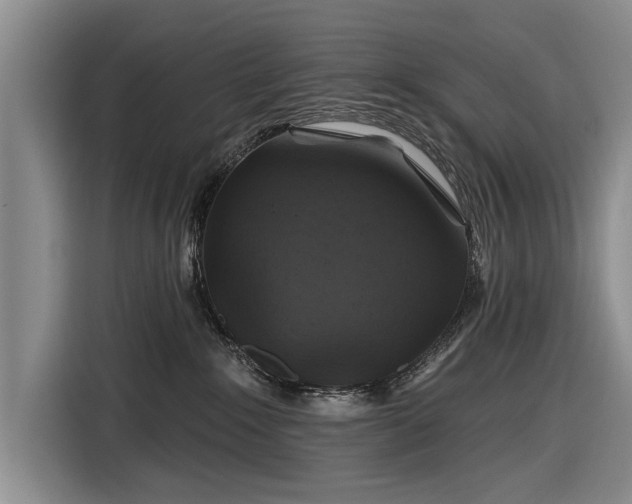 X0000116590235200912171559