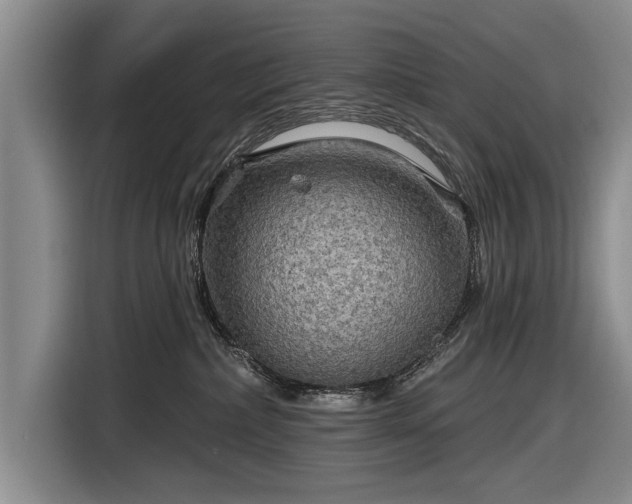 X0000116590236200912171559