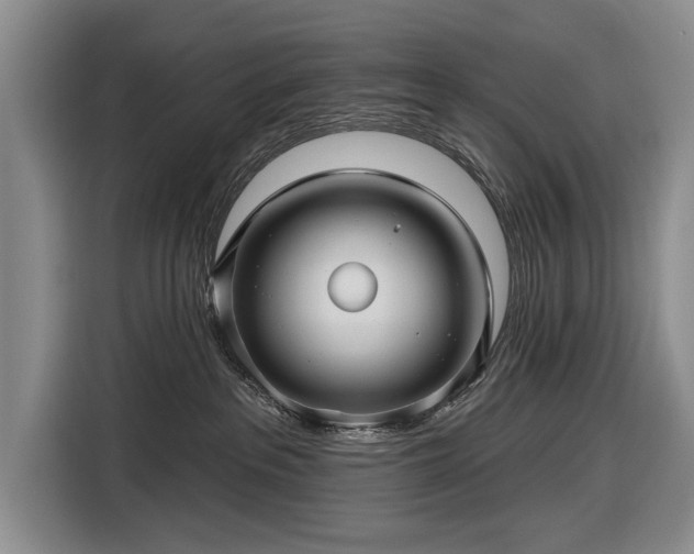 X0000116590237200912171559