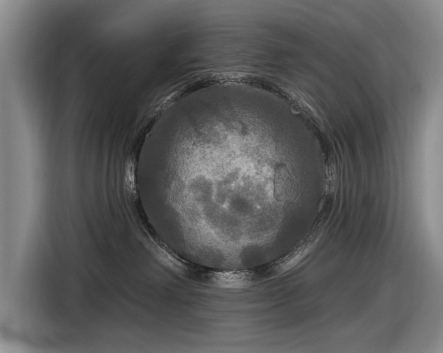 X0000116590238200912171559