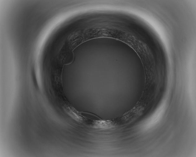 X0000116590239200912171559