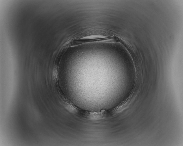 X0000116590240200912171559