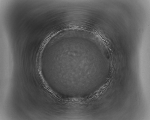 X0000116590241200912171559