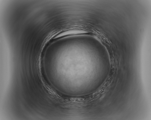 X0000116590242200912171559