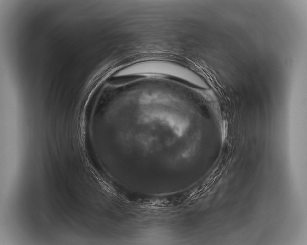 X0000116590243200912171559