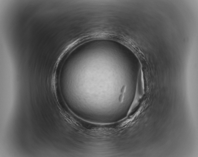 X0000116590244200912171559