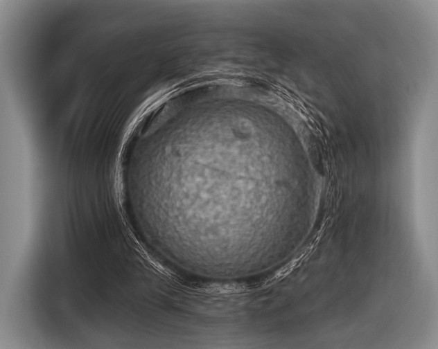 X0000116590245200912171559