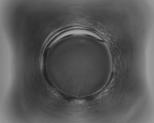 X0000116590247200912171559