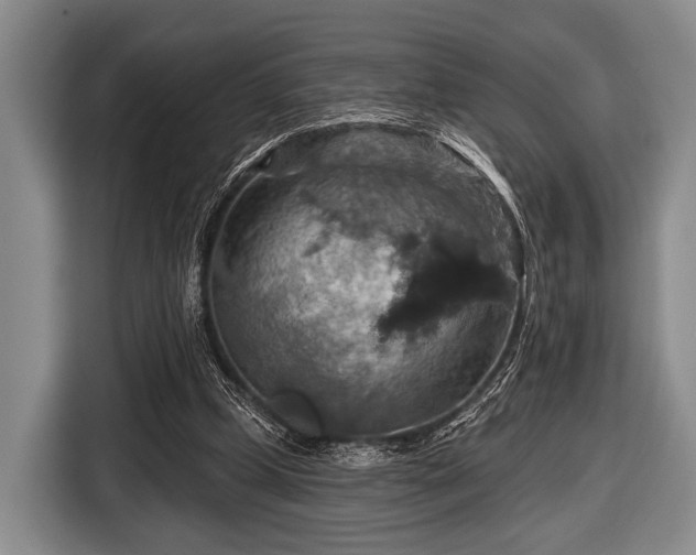 X0000116590249200912171559