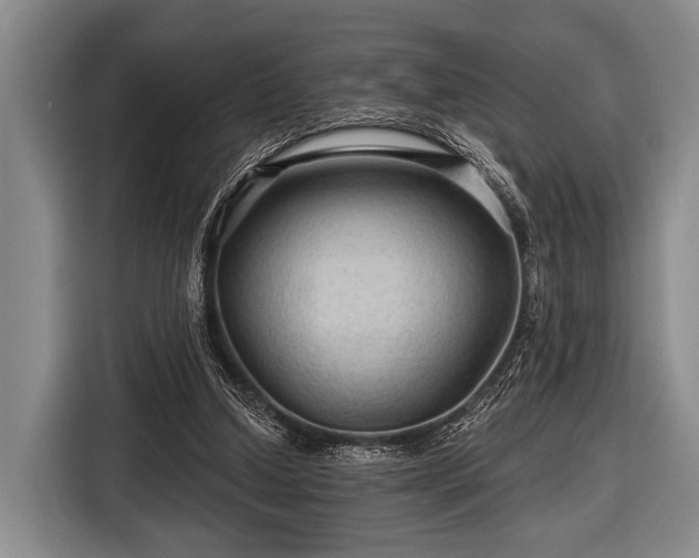 X0000116590250200912171559