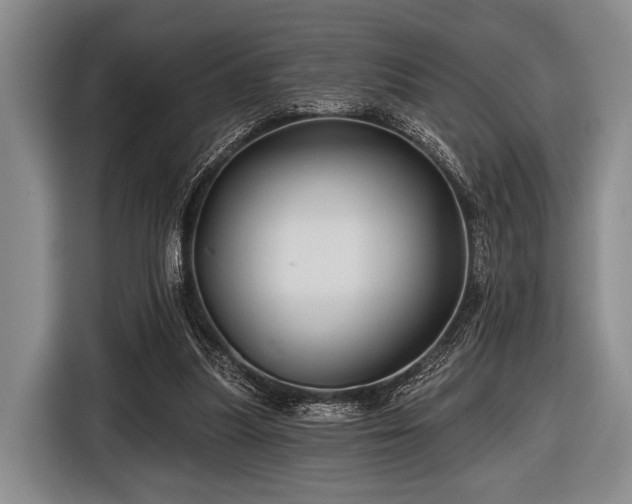 X0000116590251200912171559