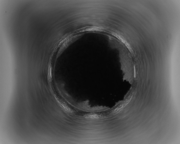 X0000116590253200912171559