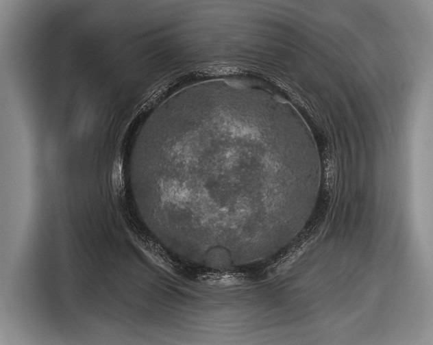 X0000116590254200912171559