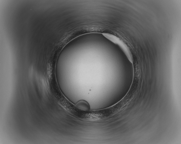 X0000116590255200912171559