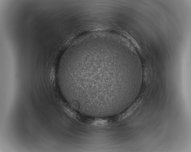 X0000116590257200912171559