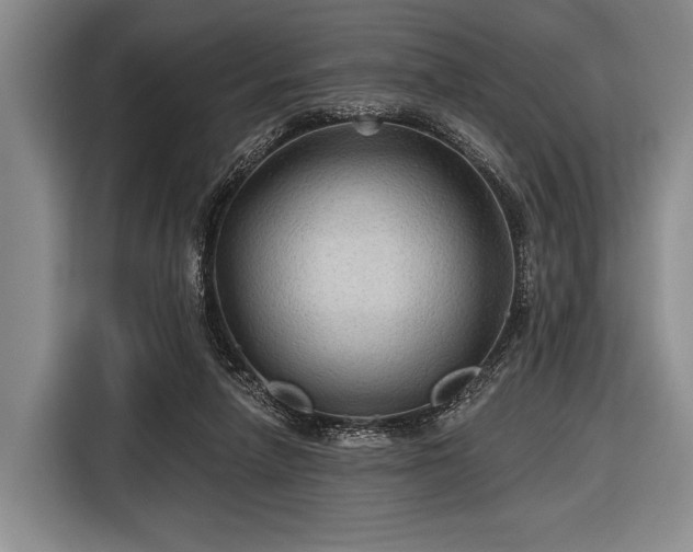 X0000116590258200912171559