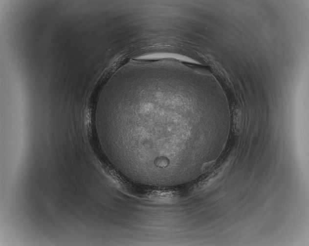 X0000116590260200912171559