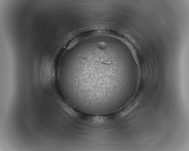 X0000116590261200912171559