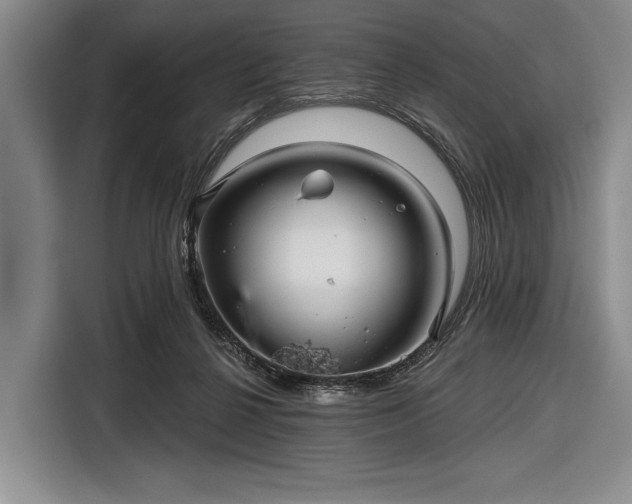 X0000116590264200912171559