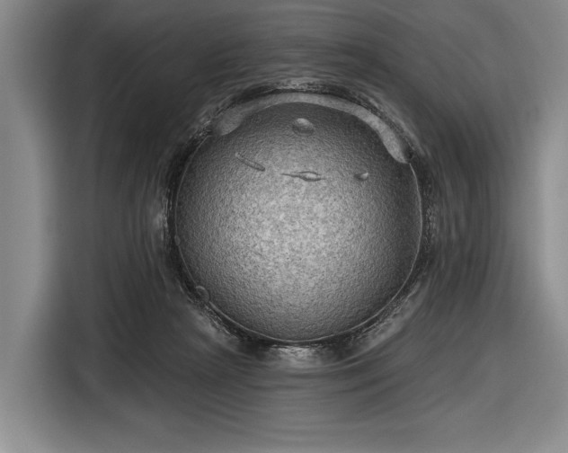 X0000116590265200912171559