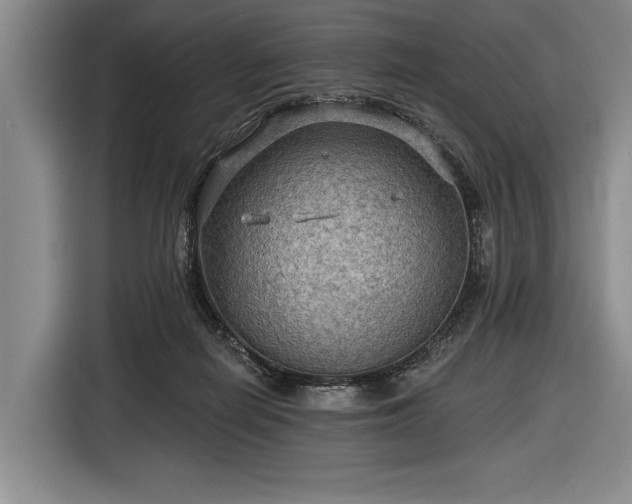 X0000116590266200912171559