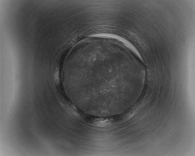 X0000116590267200912171559