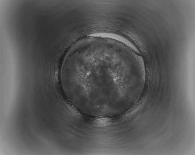 X0000116590269200912171559