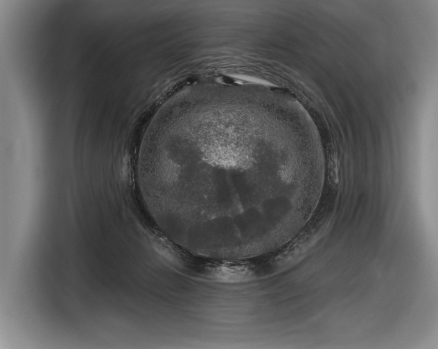 X0000116590270200912171559