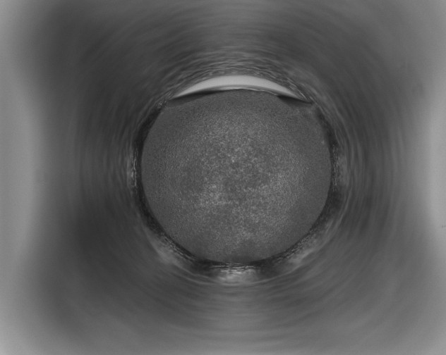 X0000116590274200912171559