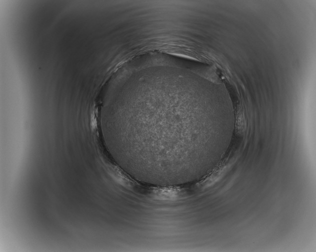 X0000116590282200912171559