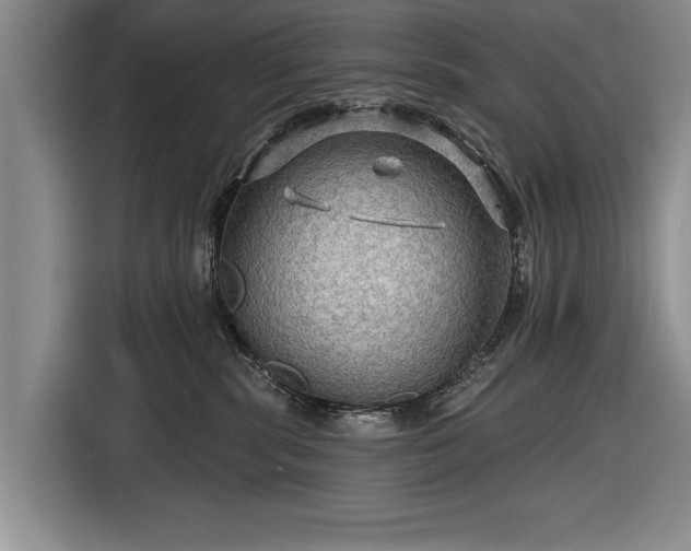 X0000116590283200912171559