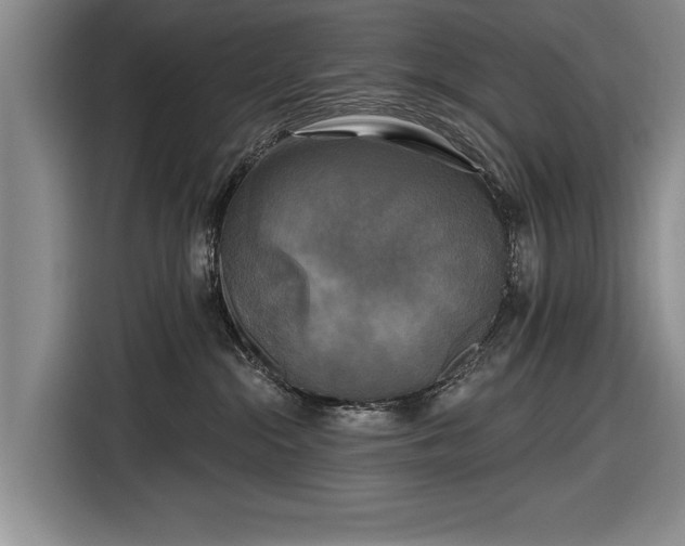 X0000116590284200912171559