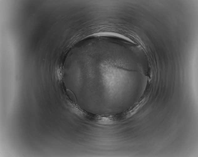 X0000116590285200912171559