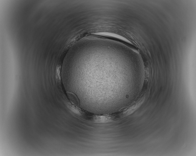 X0000116590286200912171559