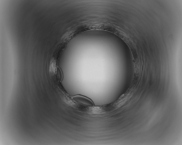 X0000116590287200912171559