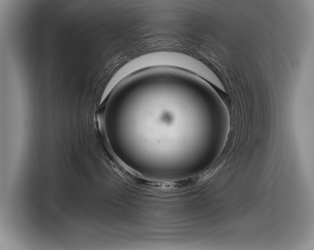 X0000116590288200912171559