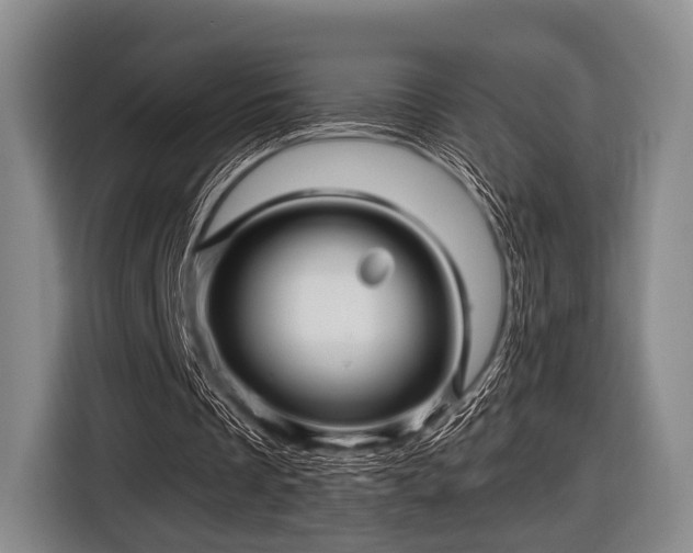 X0000116590289200912171559