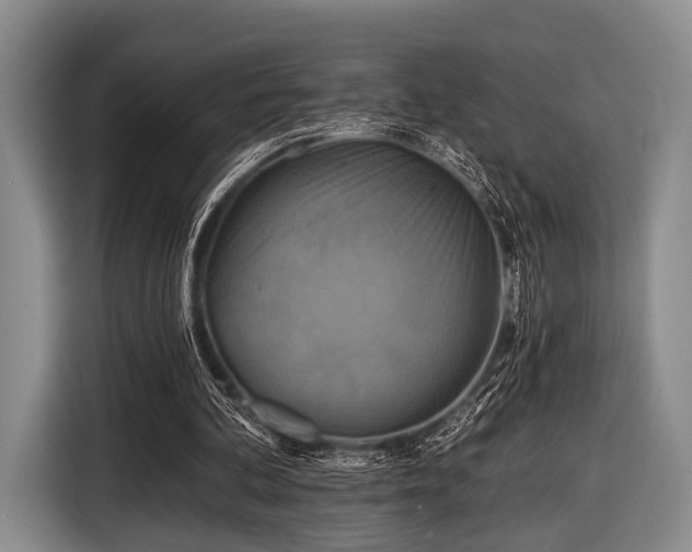 X0000116590292200912171559