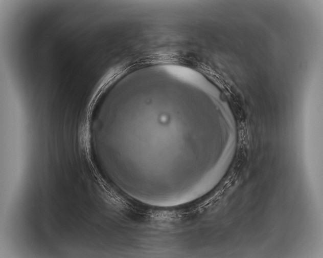 X0000116590293200912171559