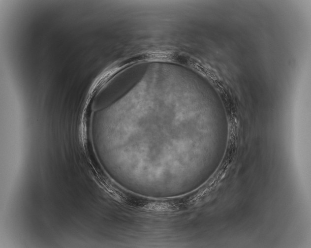 X0000116590294200912171559