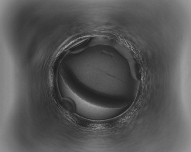 X0000116590295200912171559